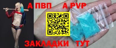 прущие грибы Тара