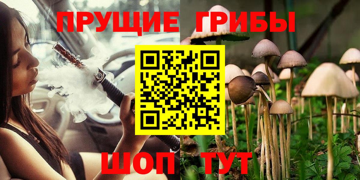 Псилоцибиновые грибы прущие грибы  Вход с VPN  Ногинск 