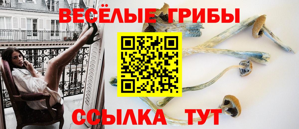 A PVP Ногинск